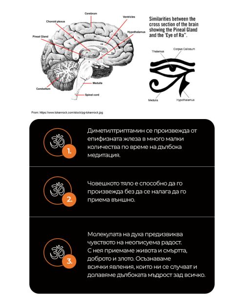 онлайн йога курс
